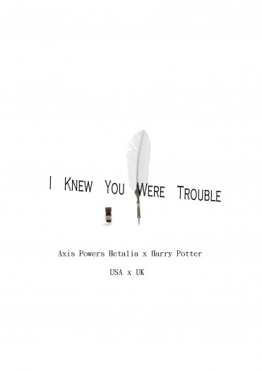 I Knew You Were Trouble 封面圖