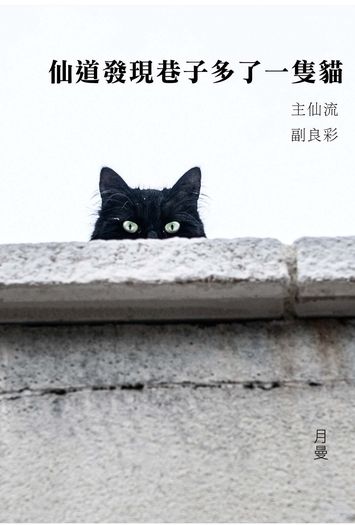 《仙道發現巷子多了一隻貓》【灌籃高手】仙流小說本 封面圖