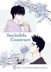 Invisible Contract