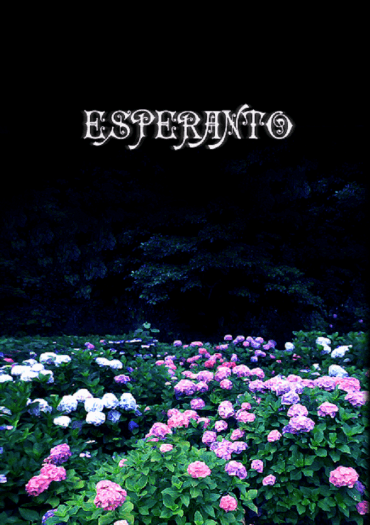 Esperanto 封面圖