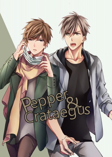 【方王】Pepper&Crataegus 封面圖