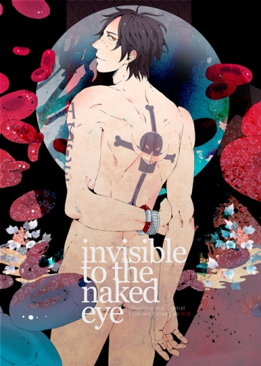 invisible to the naked eye 封面圖