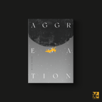 RooHangy《Aggregation》