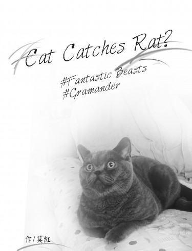 【怪獸與牠們的產地|怪產】家長組短篇無料-《Cat Catches Rat？》 封面圖