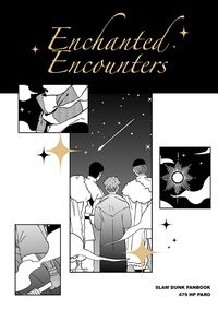 Enchanted Encounters