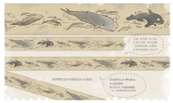 Dolphins&amp;Whales鯨豚保育公益紙膠帶