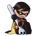 Young Justice動畫版飯友(Robin/Kid Flash)
