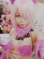 豚豚