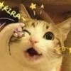 Neko 捏扣