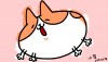 小隻