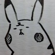 pokemon841116