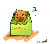 yuushi