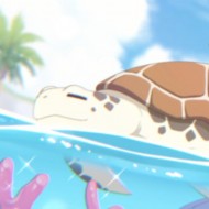 魚翅