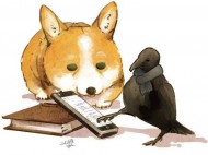 伊爾