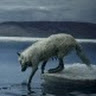 浪靈