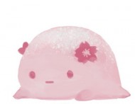 飄小小