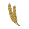 麦的谷倉