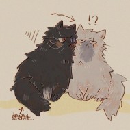 喵喵
