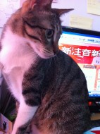 SuMi