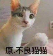 冀