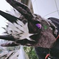 李狨狄
