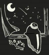 熬夜的趴趴