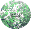 二三/MABU