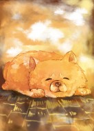 藍珊瑚