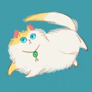 羽璨