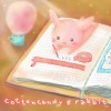 棉花糖小兔