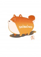 柴犬叔叔