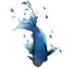 流夜