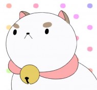 星雅