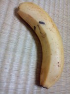 日尹