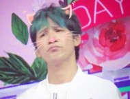菠萝pai