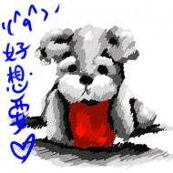 suehiy31