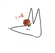 summerjack0513