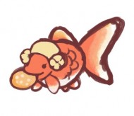 sh925123