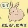 kun