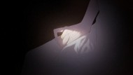 草莓大亨堡