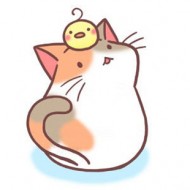 尼莫 好ㄘ