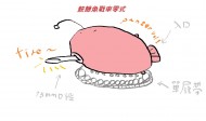 HinaKen