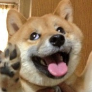 Riku