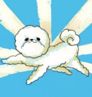 aika