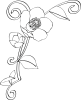 Ranaldee