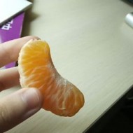 隔壁肥貓