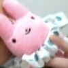 小Y
