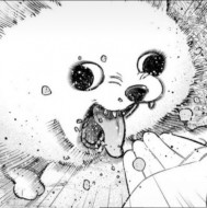 ShiQi