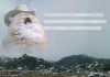 九阿春