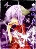 ★銀狐 双